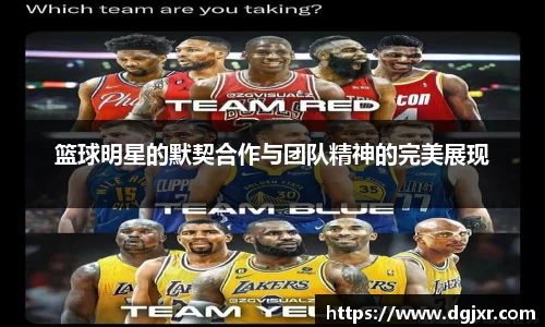 星空综合官方网站